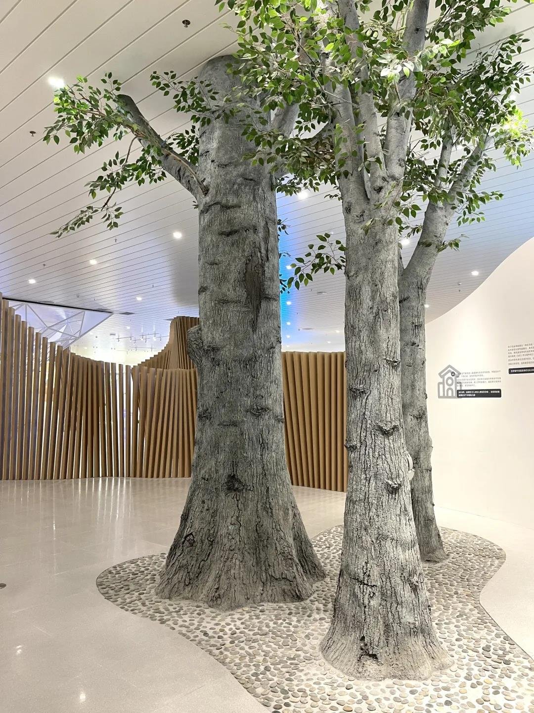 巖星特刊 | “疫苗博物館”，透過歷史切片見證偉大事業插圖(5)