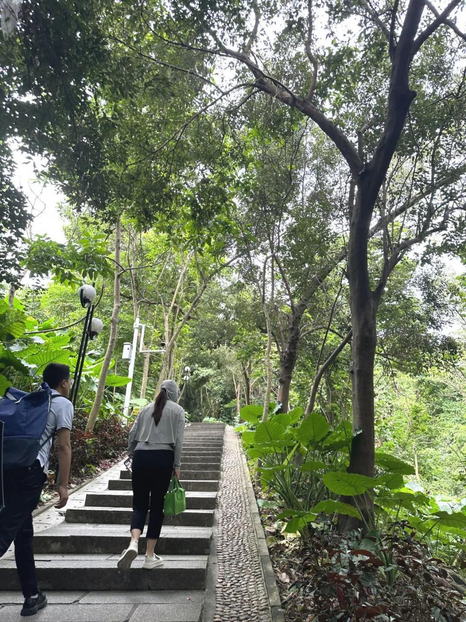 巖星之聲|巖星科建黨支部赴蓮花山開展主題黨日活動插圖(2) 圖片